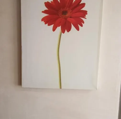 公寓 Loft'n With Parking And Views 龙达